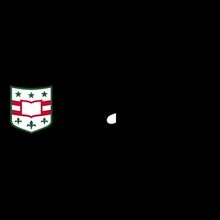 Washington University in St.Louis Logo