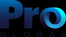 Pro Insurance Solutions Logo